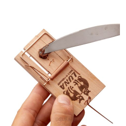 Klasyczna pułapka na myszy